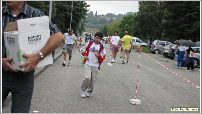 avis 293
