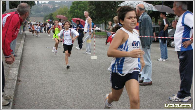 avis 329