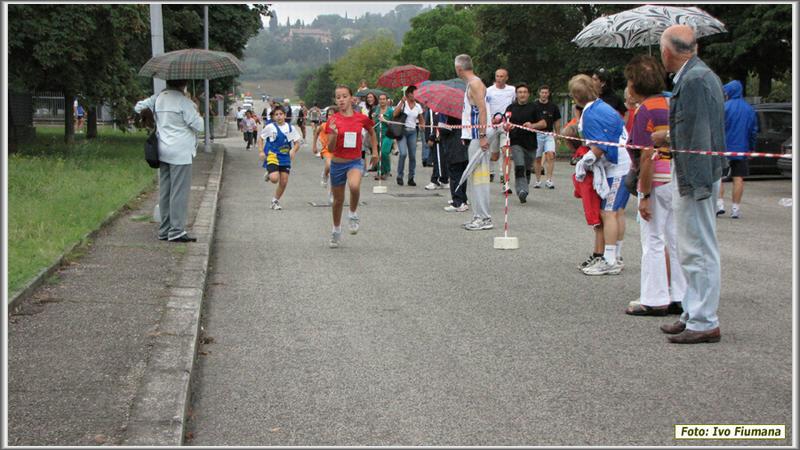 avis 353