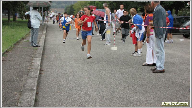 avis 354
