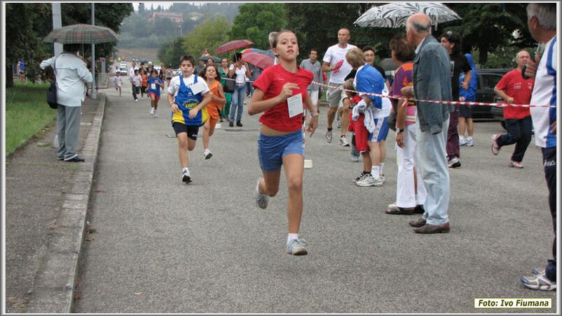 avis 355