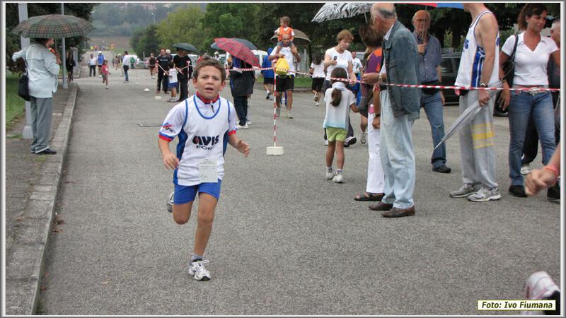 avis 381