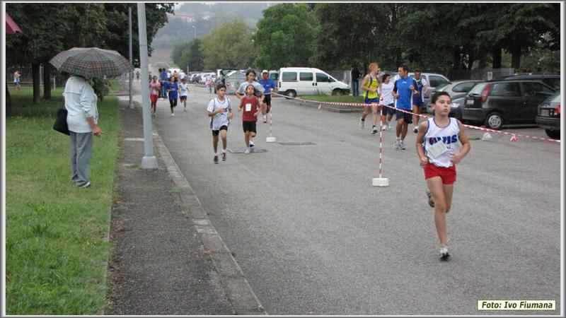 avis 423