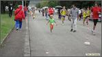 avis 249