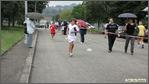 avis 391
