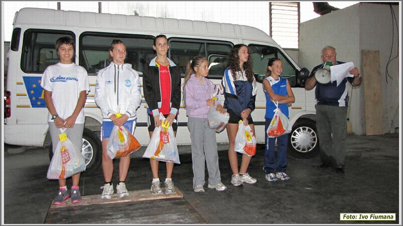 avis 731