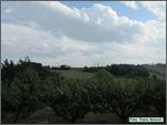IMG_7365