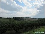 IMG_7366