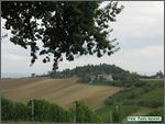 IMG_7367