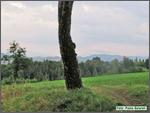 IMG_7484