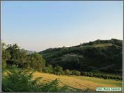 IMG_6054