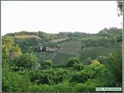 IMG_6058