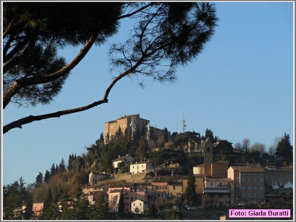 Bertinoro11_005