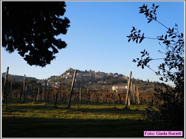 Bertinoro11_007