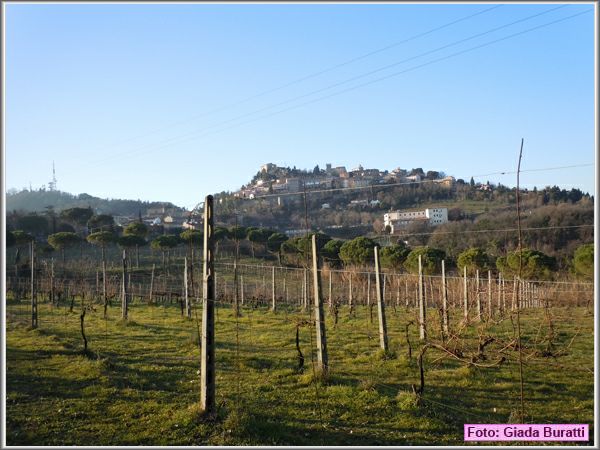 Bertinoro11_008