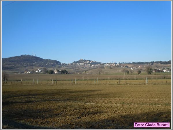 Bertinoro11_016