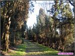 Bertinoro11_002