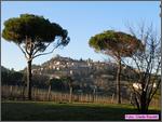 Bertinoro11_004