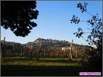 Bertinoro11_007