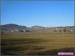 Bertinoro11_016