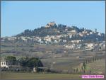 Bertinoro11_017