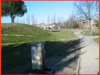 IMG_4709