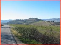 IMG_4853