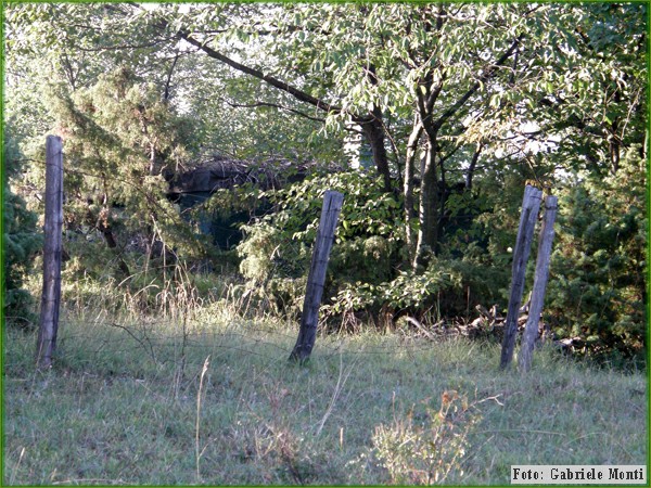P9060045