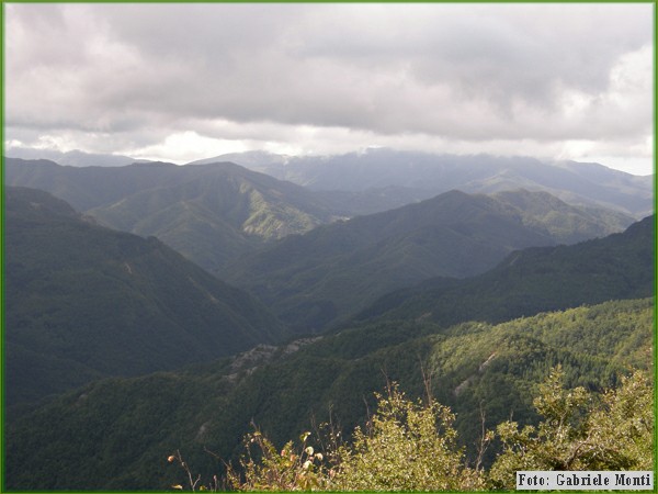 P9060058