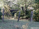P9060045