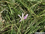 P9060061